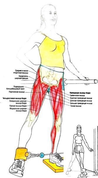   .  #@fitness.blog - 3