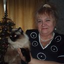 ���� ����, ������, 79 ��� - ��������� 23 ������ 2016 � ������ ���� ����������