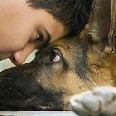  , -, 57  -  10  2016    