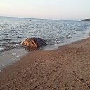 ���� Natasha, ����, 62 ���� - ��������� 8 ������� 2016 � ������ �������