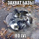 ���� ����, ���������, 45 ��� - ��������� 26 ������� 2015