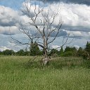  , -, 52  -  22  2015   