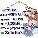  ,  -  15  2015    