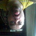 ���� ������, ������, 48 ��� - ��������� 2 ������ 2016 � ������ ���� ����������