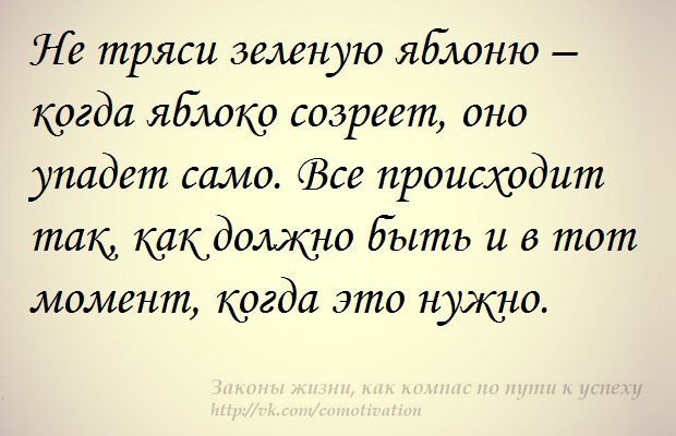 Не тряси зеленую яблоню когда яблоко. Вызревший лен. Не тряси зеленую яблоню цитата. Когда он созреет. Не тряси зеленую яблоню когда яблоко созреет оно упадет само.