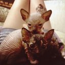 ���� �������, ������������ - ��������� 24 ������ 2016 � ������ �.�