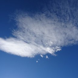 �����, ������, 51 ���