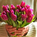 ���� �����, ������� - ��������� 9 ����� 2016 � ������ ������ ��������