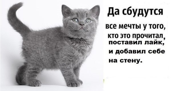   - 6  2015  18:52