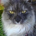 ���� ����, ������, 21 ��� - ��������� 15 ������� 2015 � ������ ���� ����������