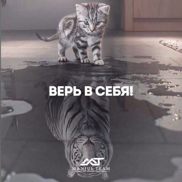  -   - 19  2015  22:17