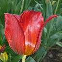 ���� ����� ����, ������-��-���� - ��������� 8 ����� 2016 � ������ ���� ����������