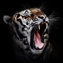 ���� ����, ������, 63 ���� - ��������� 14 ������� 2015 � ������ ���� ����������