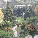  Aleksa , , 45  -  14  2015   