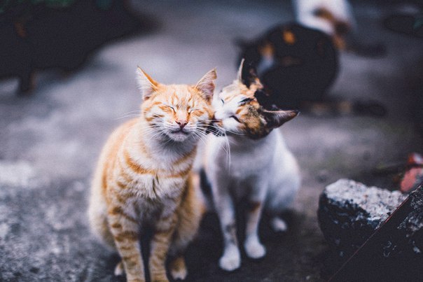 :3