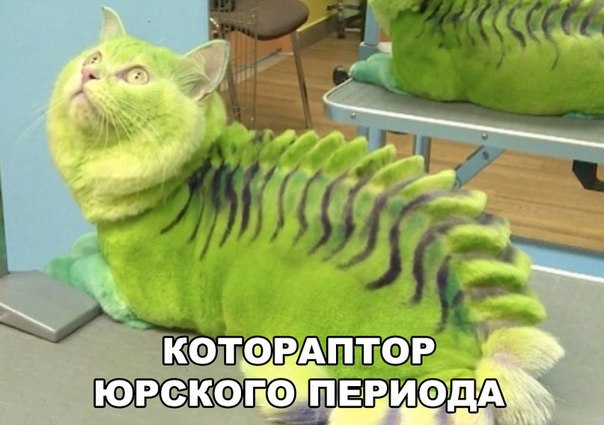   - 8  2016  18:32