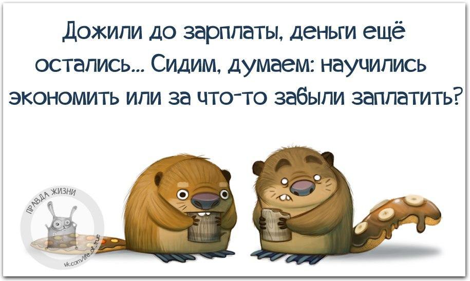  - 11  2016  23:10