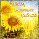 ���� �������, ���������� - ��������� 23 ������� 2016 � ������ �������� ��������