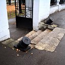 ���� ��������, ������ - ��������� 5 ������� 2015 � ������ �������� ������� ���ۻ