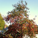 ���� ��������, ������ - ��������� 27 �������� 2015 � ������ �������ܻ