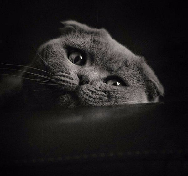 — Знаешь, Кот… в жизни реально много моментов, ради которых стоит жить. — Но между этими моментами ...