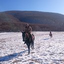 ���� ���������, �����������, 46 ��� - ��������� 10 ������ 2016 � ������ ���� ����������