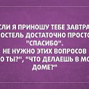 ���� ����, ��������, 41 ��� - ��������� 19 ������ 2015 � ������ ������ ��������