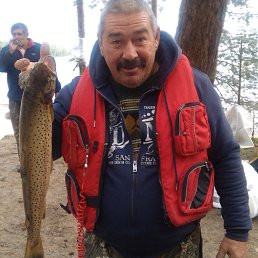 Yna26, �����-���������, 70 ���