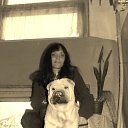 ���� ����, ����, 51 ��� - ��������� 11 ������� 2015 � ������ ������ ��������