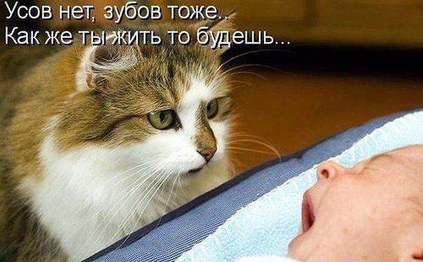 ����� ������� ������� - 28 ������� 2015 � 00:01