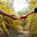 ���� ����, ��������� - ��������� 27 �������� 2015 � ������ ������ ��������