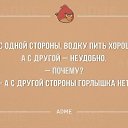 ���� ���, ���������, 41 ��� - ��������� 8 ������ 2015 � ������ ���� ����������