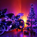  Mirco, , 63  -  24  2015    