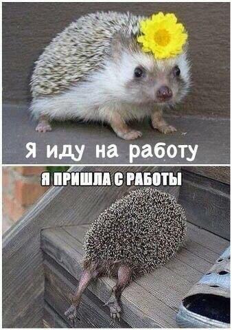   |  |  - 7  2016  13:05