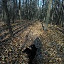 ���� ������ ��������, ������, 66 ��� - ��������� 9 ������� 2015 � ������ ���� ����������