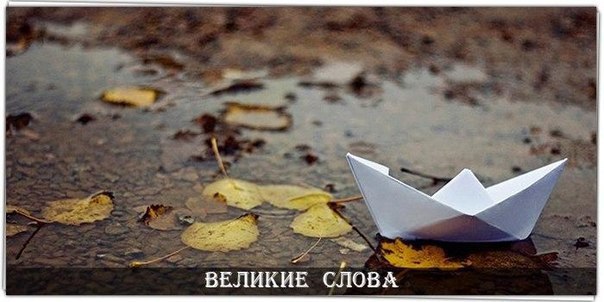 Запомните пять простых правил: 1. Освободите свое сердце от ...