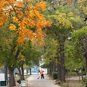 ���� �������, ��������� - ��������� 10 ����� 2016 � ������ ����������� - ��� �����