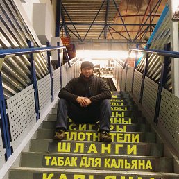 ���� ������, ������, 37 ���