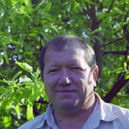 ���� ��������, ���������, 73 ���� - ��������� 7 ����� 2016