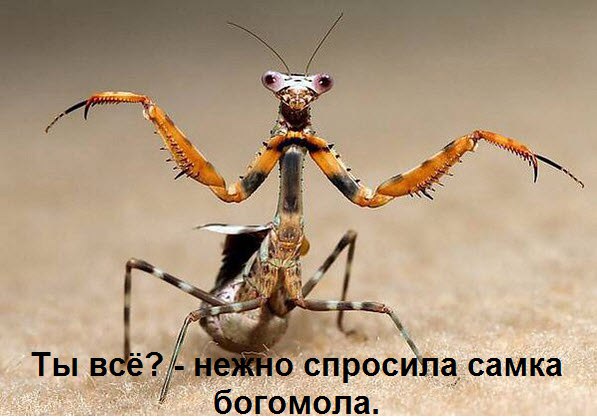  - 5  2015  22:12