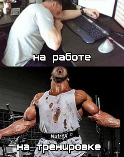  -   - 3  2016  18:27