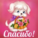 ���� ��������, ����, 88 ��� - ��������� 21 ������ 2015 � ������ �������� ��������