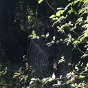 ���� Murad Axundov, ����, 46 ��� - ��������� 22 ������� 2015