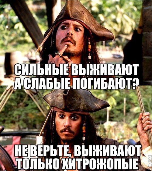    :D - 8  2016  17:33