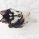 ���� ����, ������ - ��������� 25 ������� 2015 � ������ ���� ����������