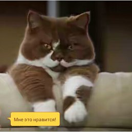 ���� �����, ����� - ��������� 5 ������� 2015