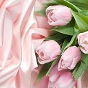 ���� ��������� ���������, ��������� - ��������� 6 ����� 2016 � ������ ���� ����������