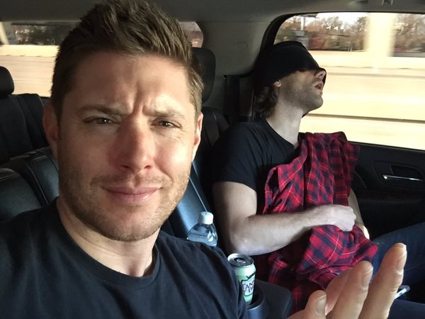 Jensen Ackles @JensenAckles 14 . Look who's talkin @jarpad ...u narcoleptic moose. ...