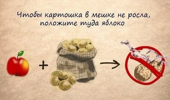 10      .#@cooklove