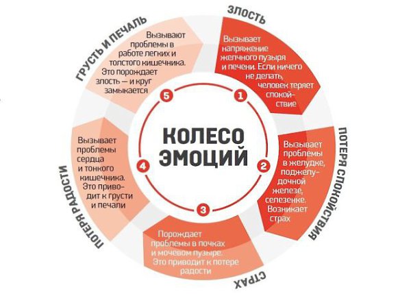 Колесо эмоций или Как эмоции влияют на самочувствие.